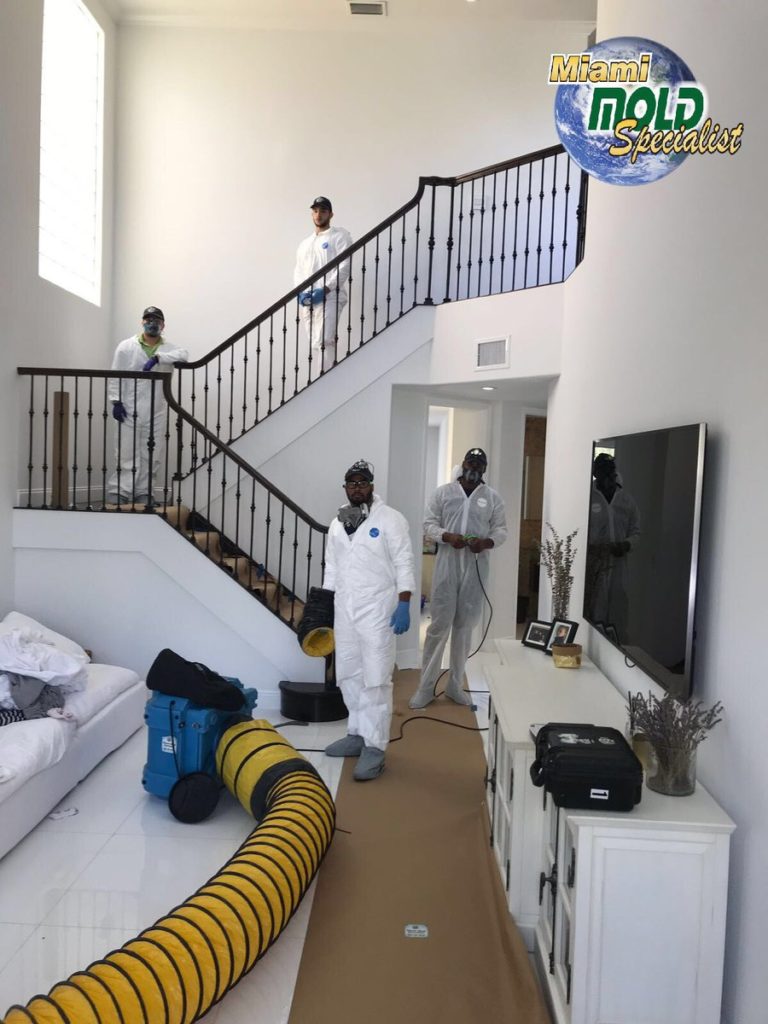 Certified Mold Remediation, Attic Mold Remediation, Yacht Mold Remediation in Duck Key, Layton, Marathon, Big Pine Key